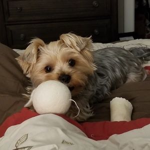 Meet your Posher, Natalie